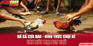 Đá Gà Cựa Dao - Hình Thức Chọi Kê Thu Hút Mọi Bet Thủ