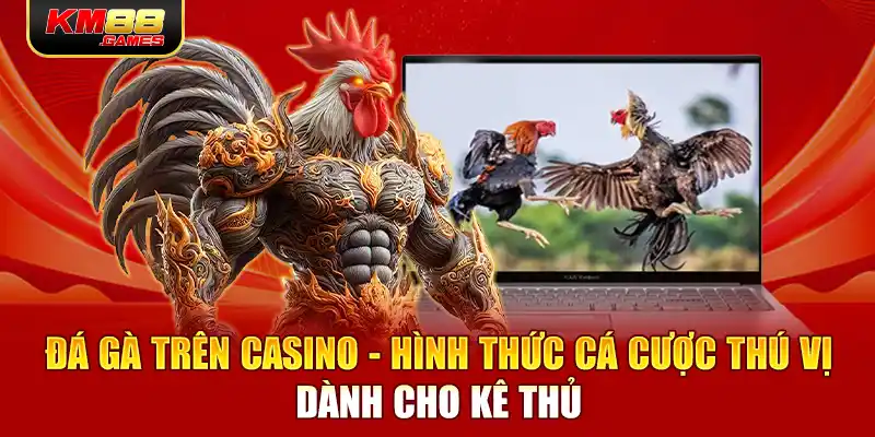 Đá Gà Trên Casino - Hình Thức Cá Cược Thú Vị Dành Cho Kê Thủ