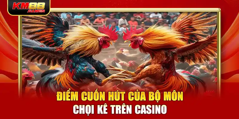 Điểm cuốn hút của bộ môn chọi kê trên casino