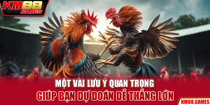 Một vài lưu ý quan trọng giúp bạn dự đoán dễ thắng lớn