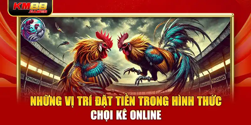 Những vị trí đặt tiền trong hình thức chọi kê online