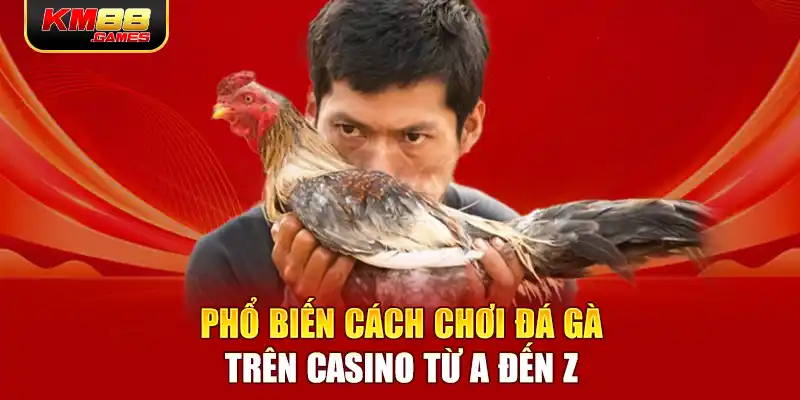 Phổ biến cách chơi đá gà trên casino từ A đến Z