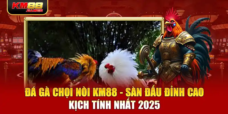 Đá Gà Chọi Nòi KM88 - Sàn Đấu Đỉnh Cao Kịch Tính Nhất 2025