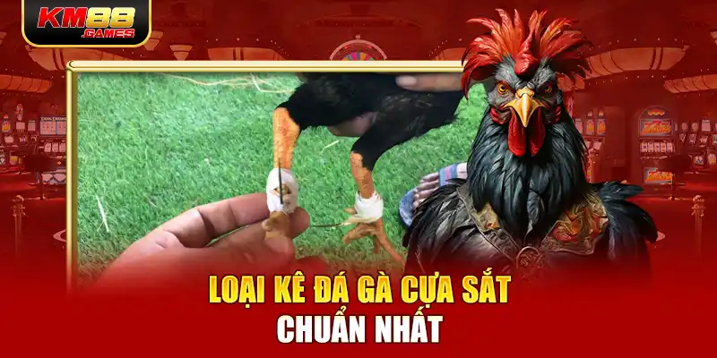 Loại kê đá gà cựa sắt chuẩn nhất